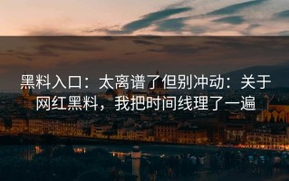 黑料入口：太离谱了但别冲动：关于网红黑料，我把时间线理了一遍