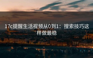 17c提醒生活视频从0到1：搜索技巧这样做最稳