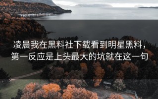 凌晨我在黑料社下载看到明星黑料，第一反应是上头最大的坑就在这一句