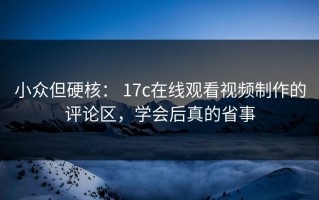 小众但硬核： 17c在线观看视频制作的评论区，学会后真的省事