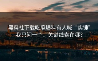 黑料社下载吃瓜爆料有人喊“实锤”我只问一个：关键线索在哪？